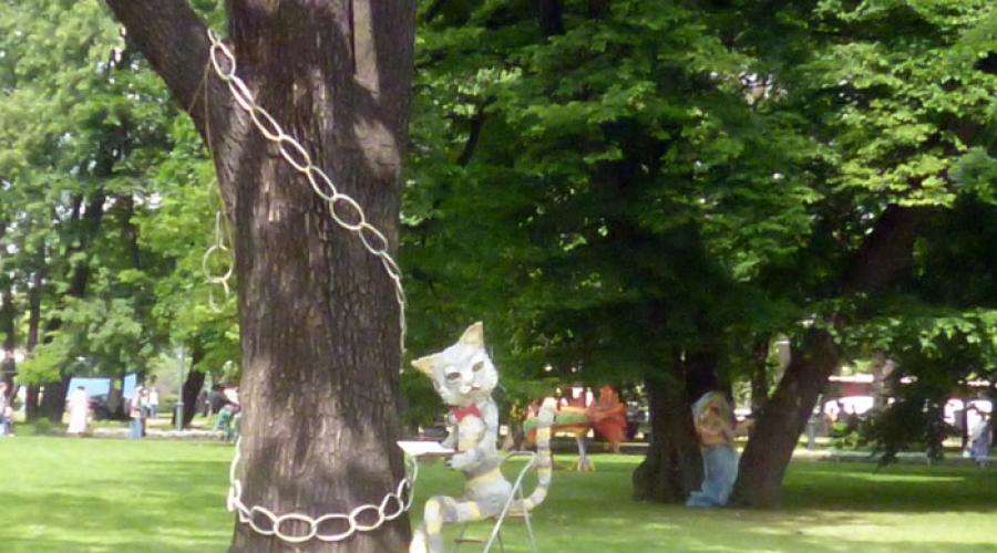 В императорском саду живет собака 6. Черешчатый дуб в Михайловском саду. Выставка цветов в Михайловском саду.