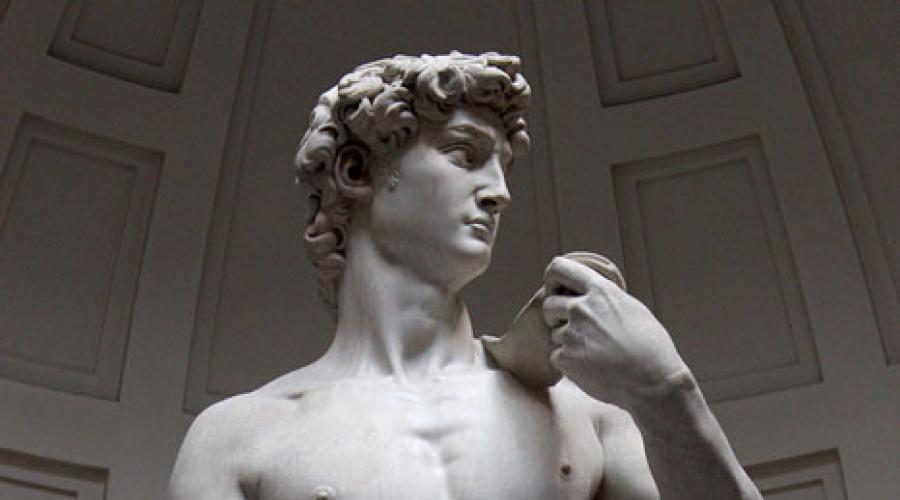 «Давид» Микеланджело: как рождался шедевр. Давид - скульптура микеланджело, фото, история скульптуры Статуя давида кто создал