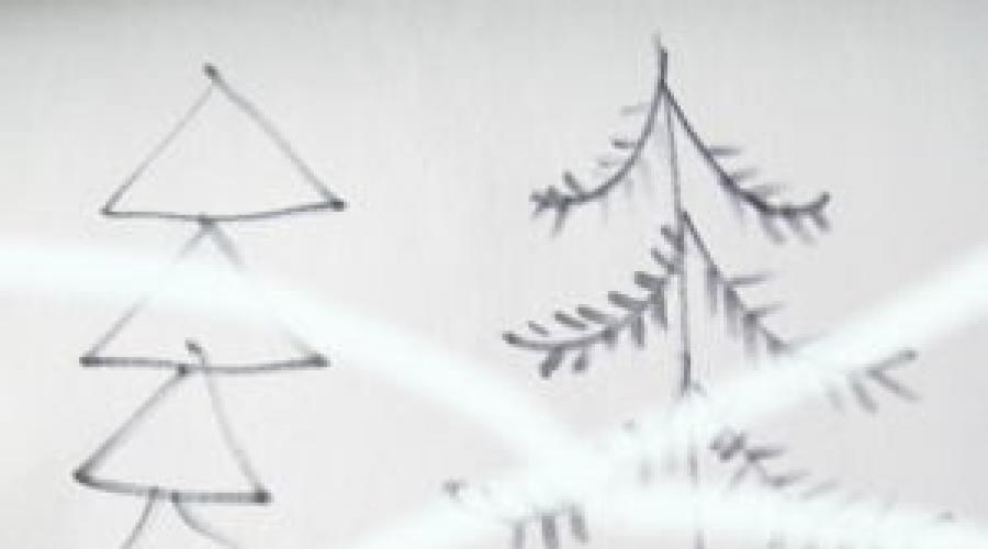 Jak łatwo narysować bardzo piękną choinkę. Jak narysować noworoczny ołówek choinki