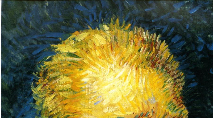 Sanatçı van Gogh ve onun resimleri. Ünlü Resim Sergisi Vincent Van Gogh