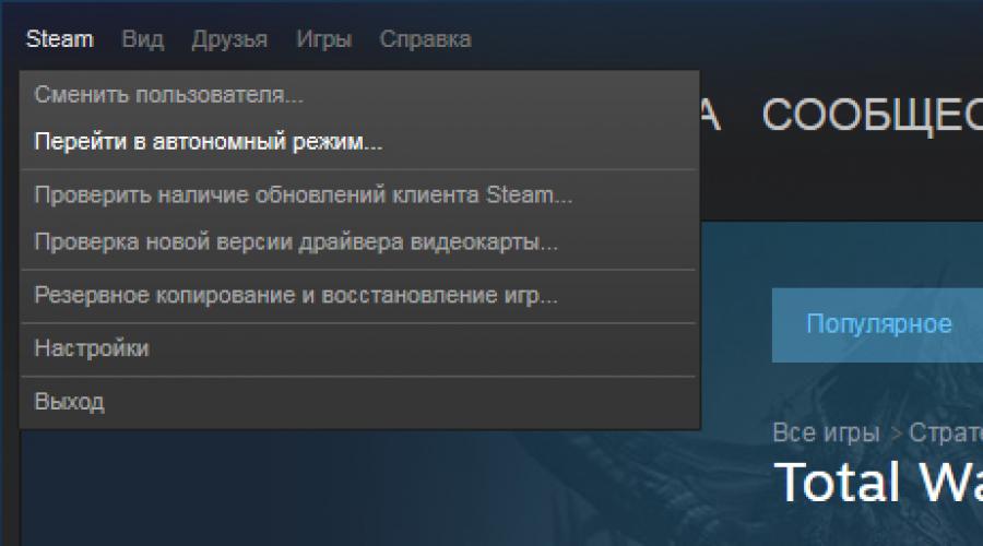 Steam режим