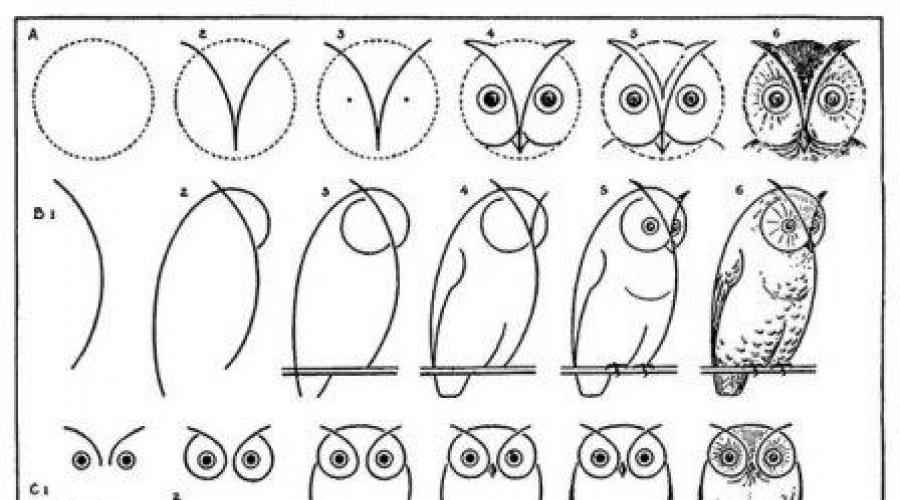 Как нарисовать сову штрихами простым карандашом. Рисование филина поэтапно для детей