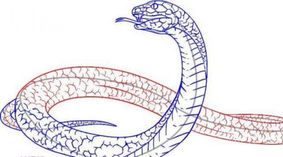 Рисуем объемно змею на листе а4 поэтапно. Как нарисовать змею карандашом