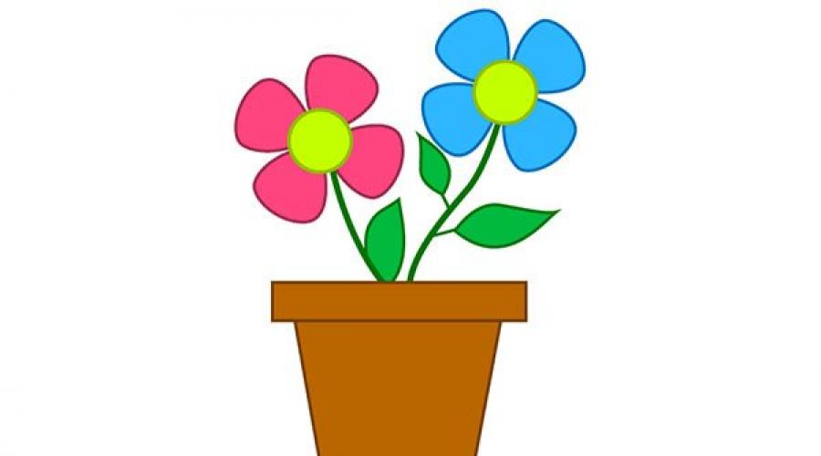 Как нарисовать вазу с цветами цветными карандашами. Как нарисовать вазу? Как поэтапно нарисовать карандашом вазу с цветами, с фруктами