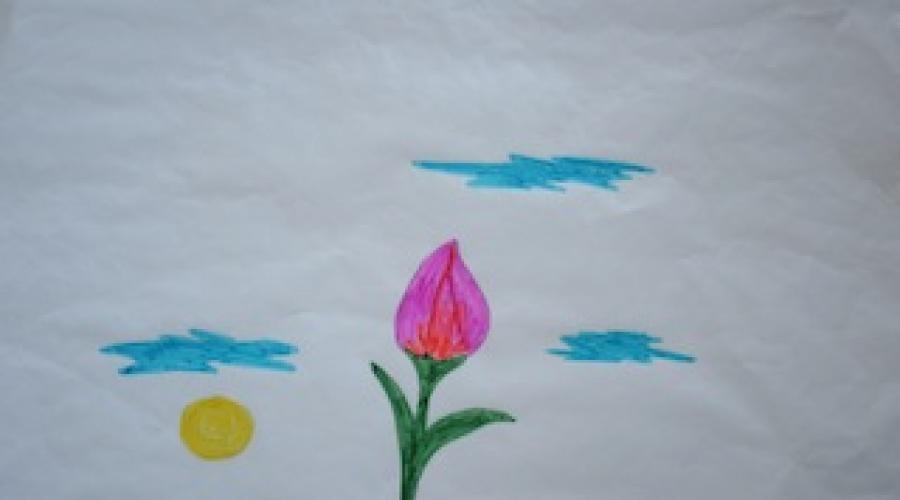 Come Creare Un Cartone Animato Su Un Laptop Come Creare Un