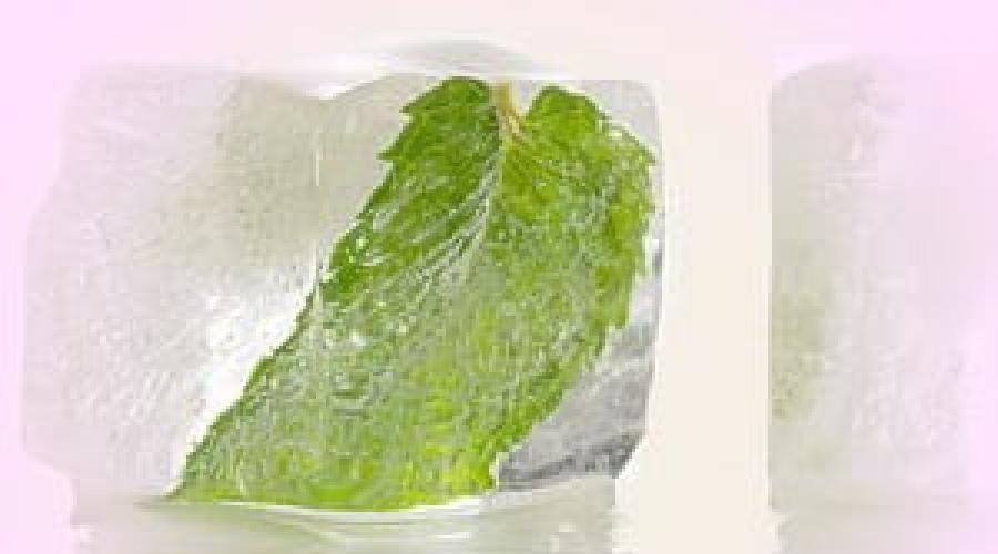 الجليد التجميلي لتجديد التجديد والترطيب وشفاف الجلد. الألوة عصير للبشرة: طرق التطبيق